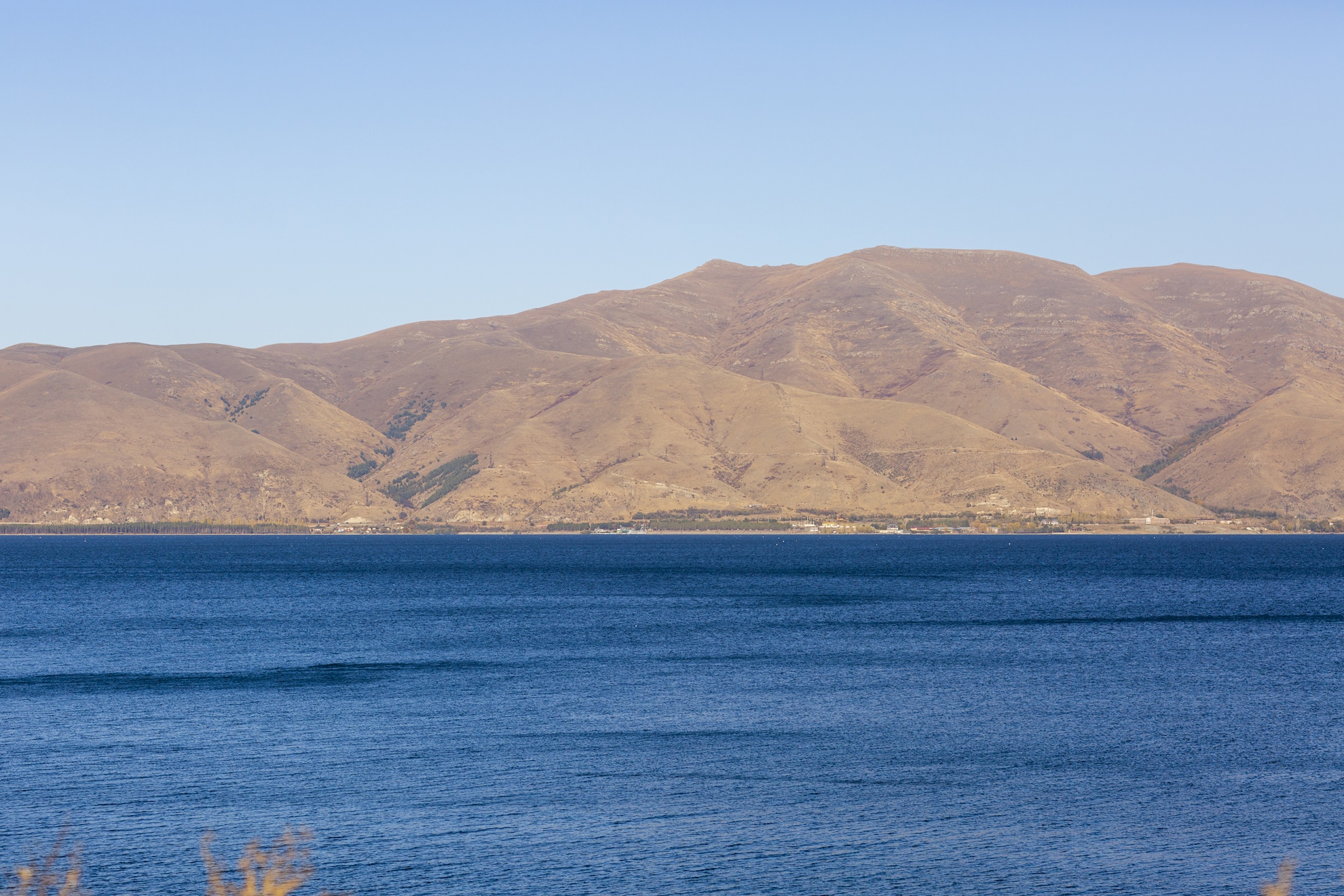 Eilat - the pine garden of the south